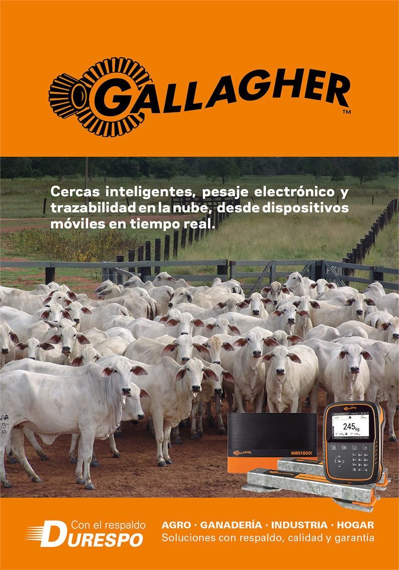 Catálogo Gallagher