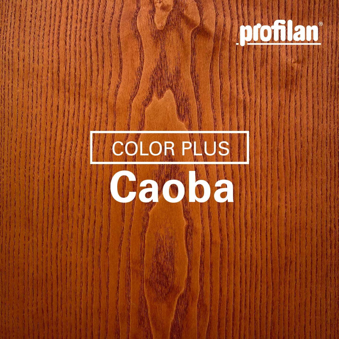 Profilan Color Plus | Recubrimiento (Lasur) Para Protección de Madera en Exteriores | Para Fachadas, Puertas, Ventanas y Pérgolas | Base Solvente