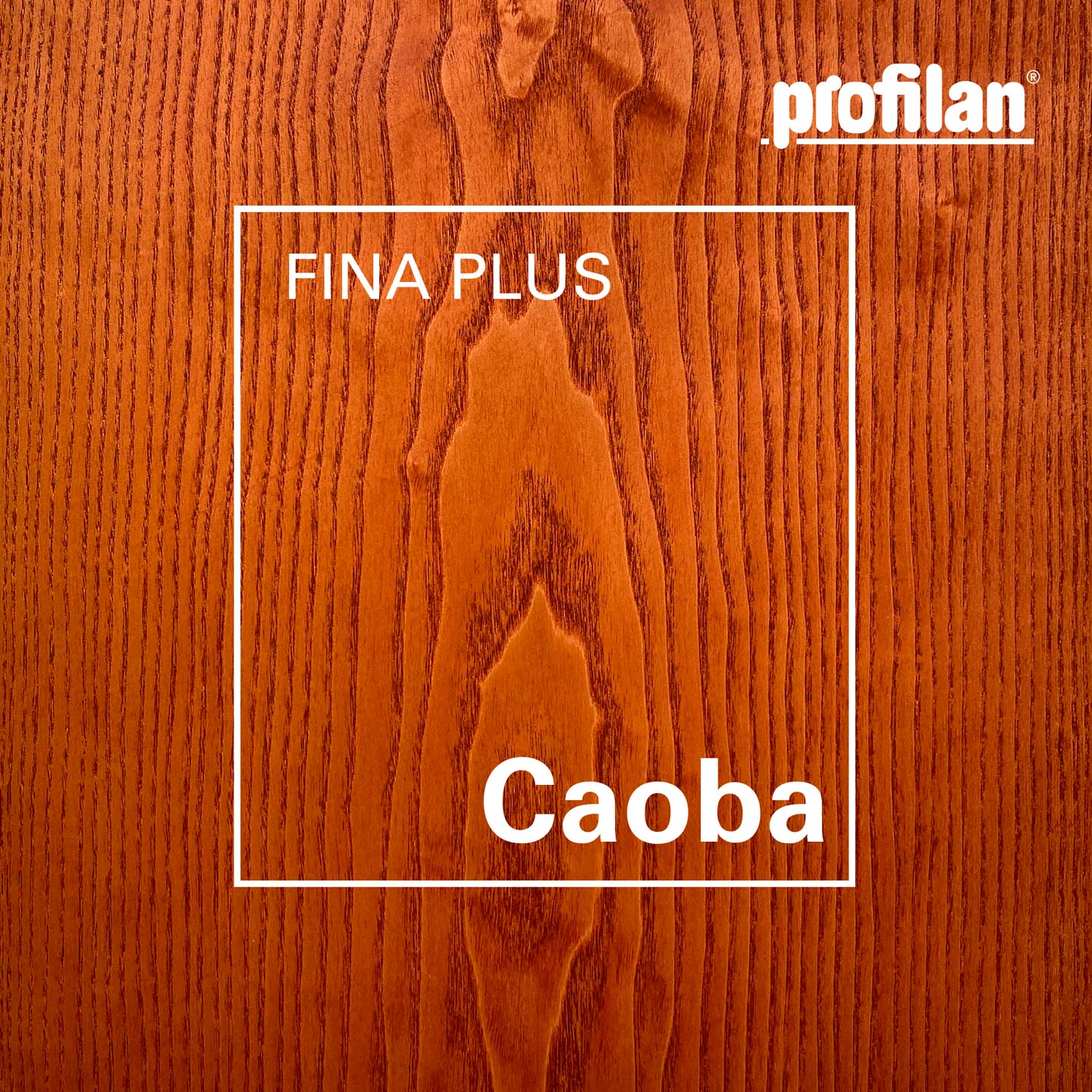 Profilan Fina Plus | Recubrimiento (Lasur) Para Protección de Madera en Exteriores | Para Fachadas, Puertas, Ventanas y Pérgolas | Base Agua