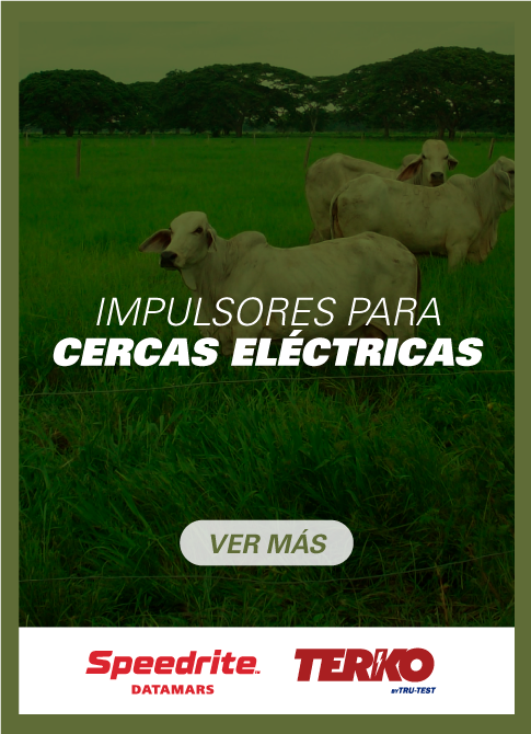 Durespo