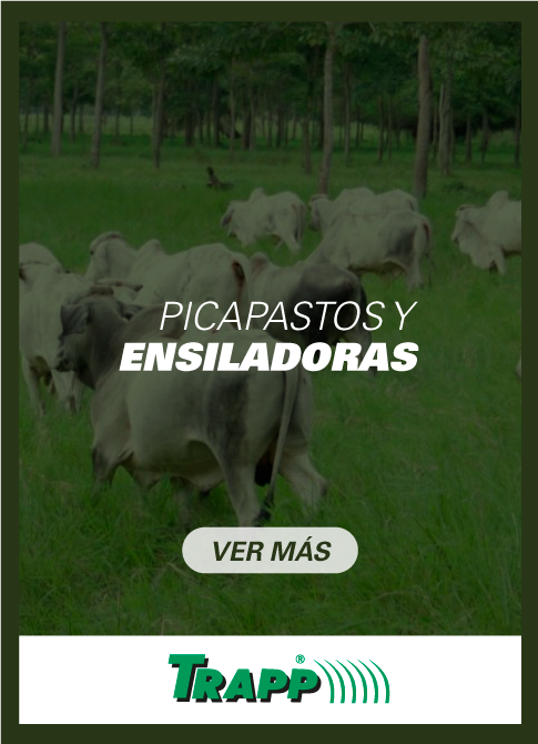 Durespo