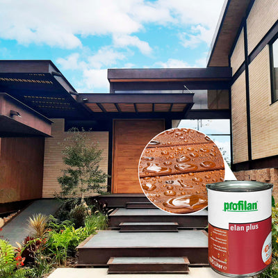 Profilan Elan Plus | Recubrimiento (Lasur) Para Protección De Madera En Exteriores | Para Puertas, Ventanas y Balcones | Base Solvente