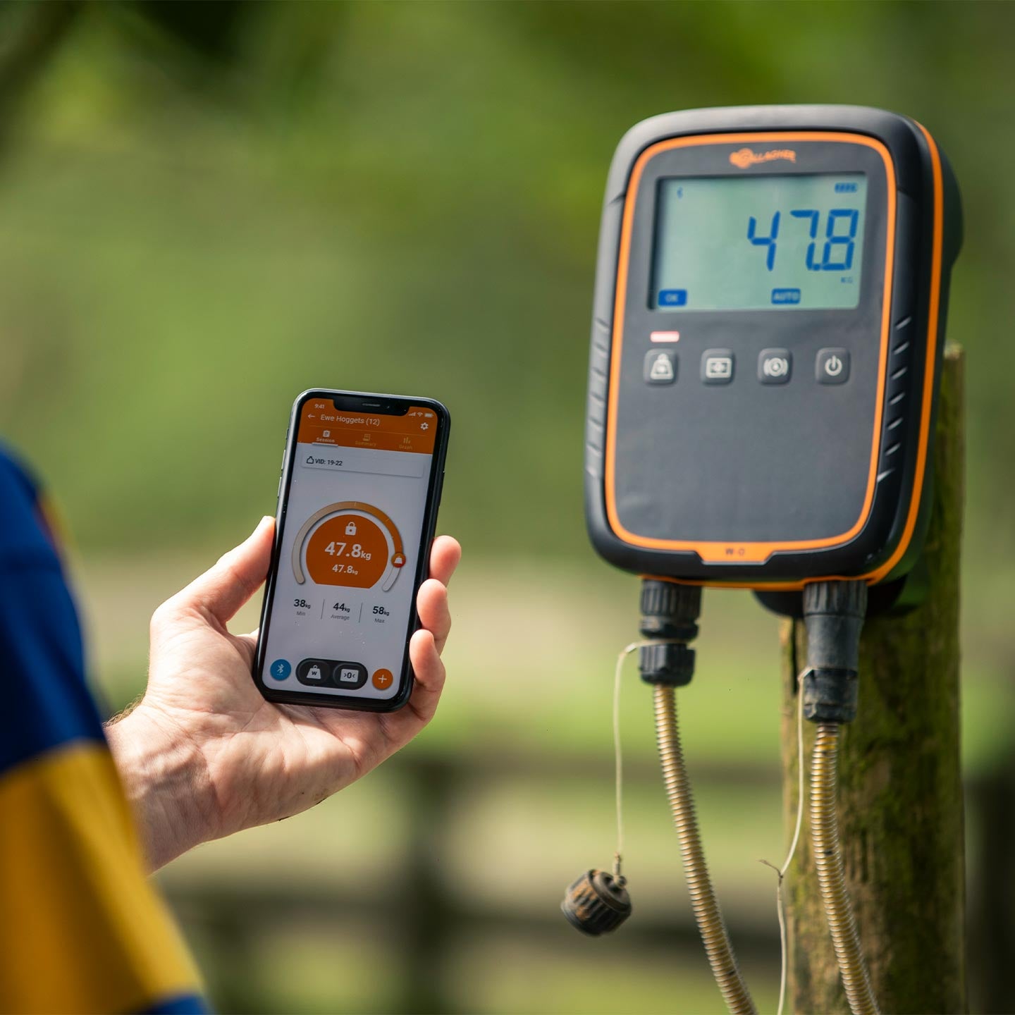 Indicador de Pesaje Electrónico W-0 Gallagher | Báscula para Ganado | ZG02500