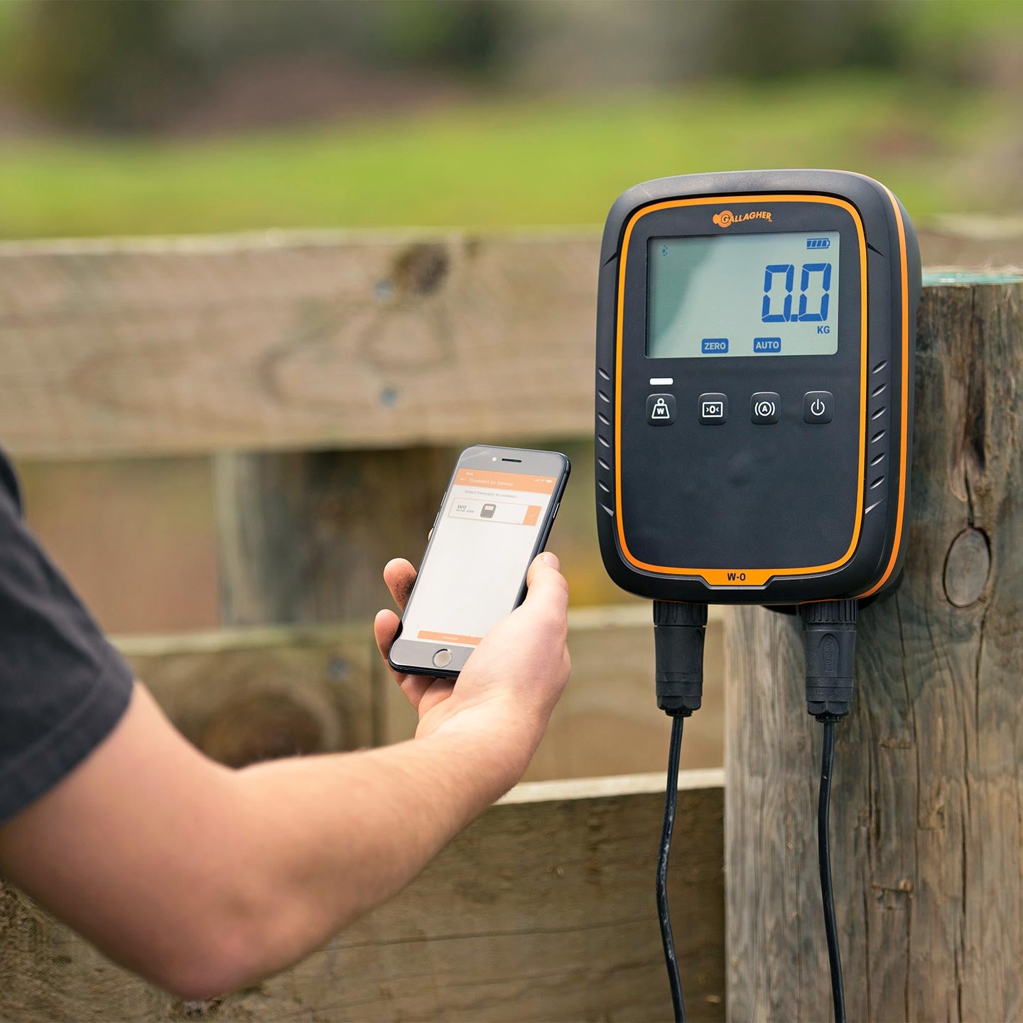 Indicador de Pesaje Electrónico W-0 Gallagher | Báscula para Ganado | ZG02500