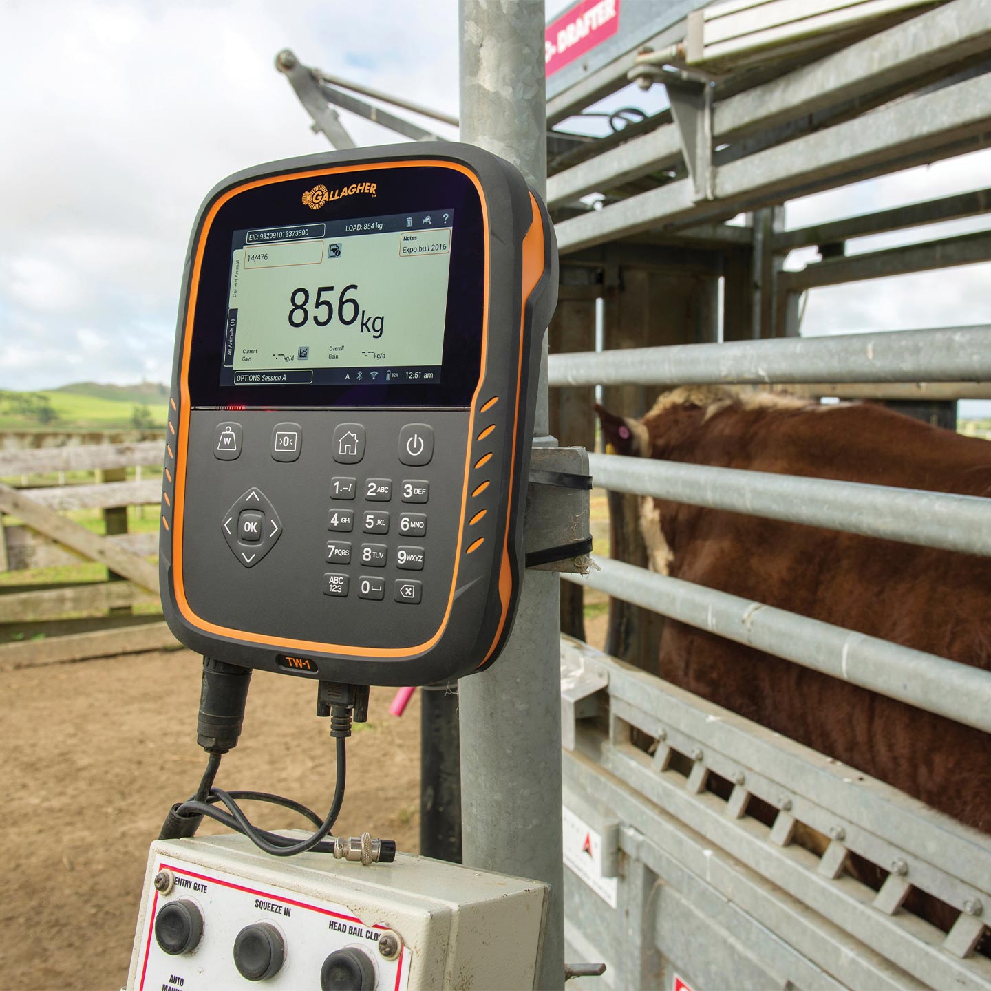 Indicador de Pesaje Electrónico TW-1 Gallagher | Báscula para Ganado | ZG02601