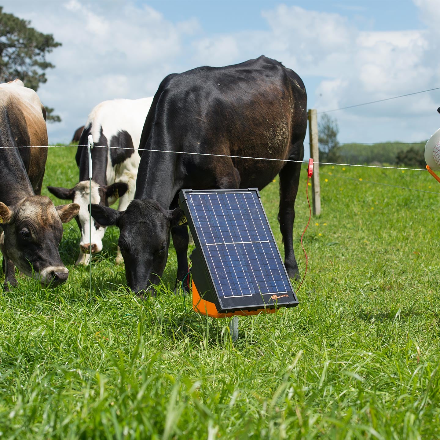 Impulsor Solar Portátil Para Cercas Eléctricas S200 Gallagher | 20 Km | ZG36030