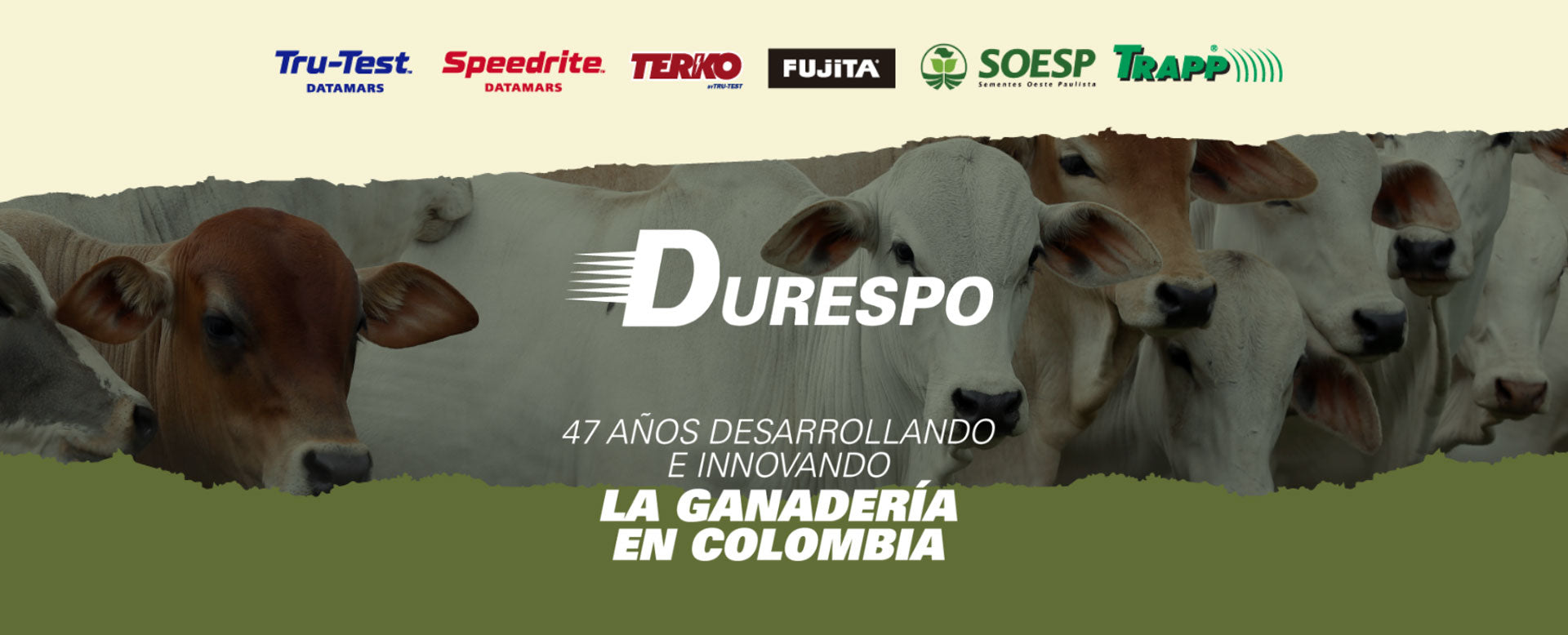 Durespo