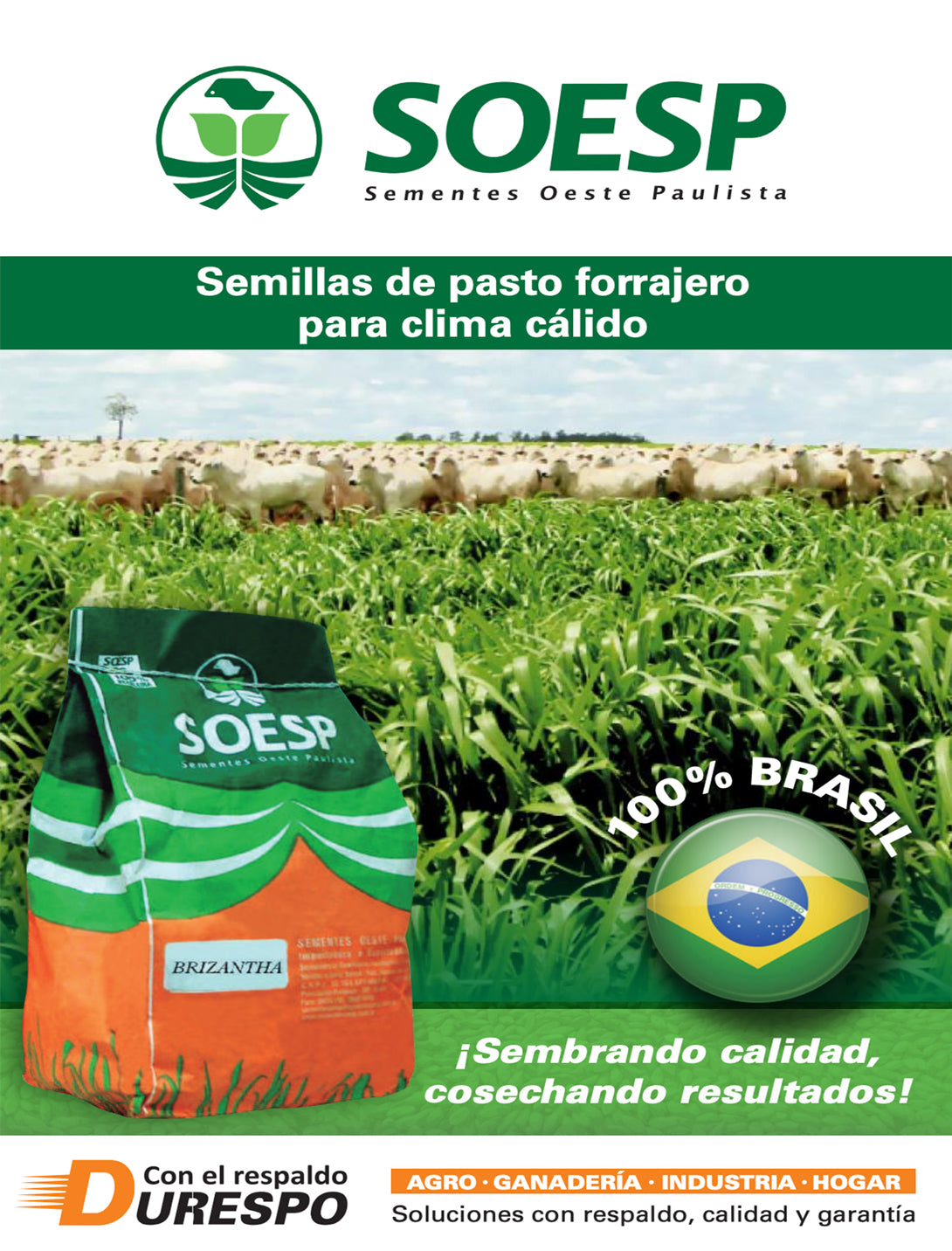 Catálogo semillas soesp