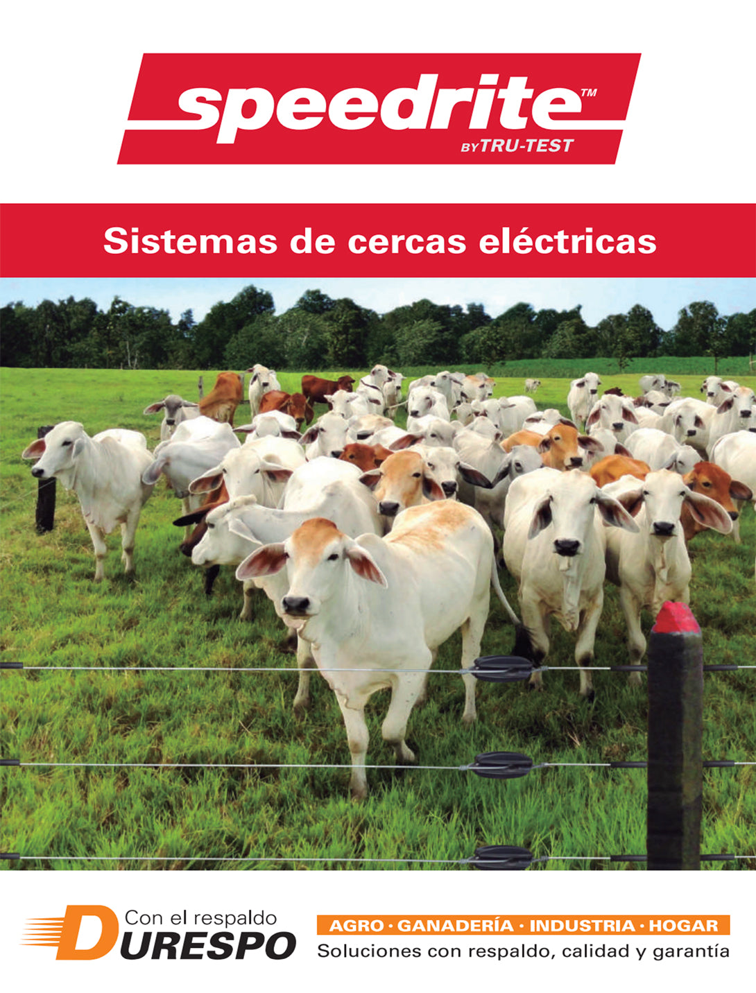 Catálogo Speedrite