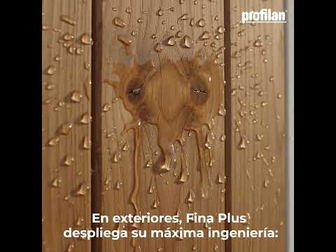 Cargar vídeo: 
