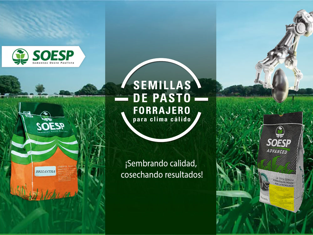 Durespo