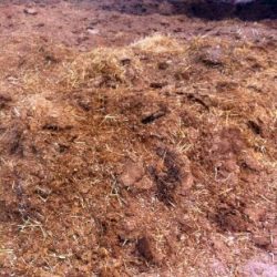 Abono orgánico a partir de estiércoles de animales