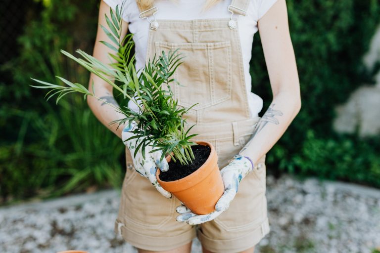 tendencias de jardineria para el 2022