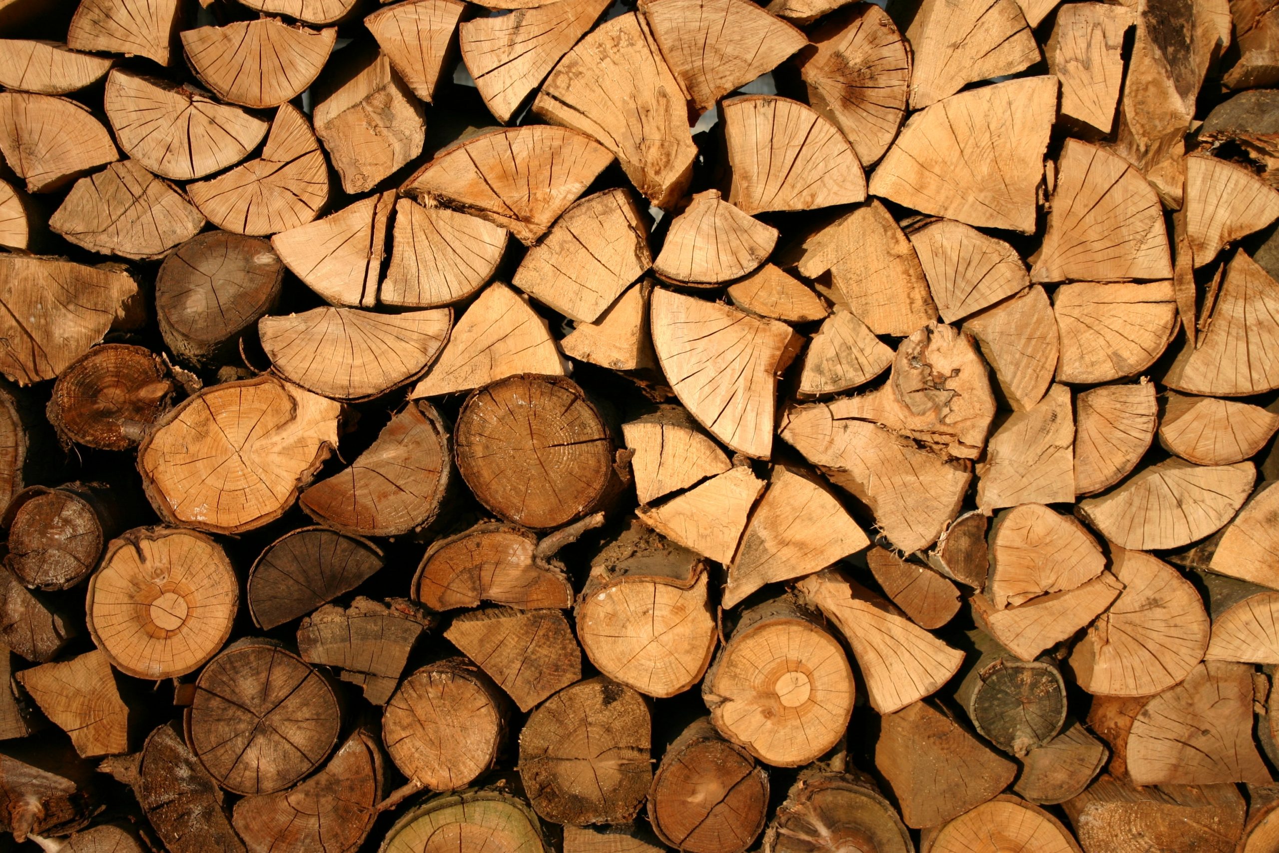 en defensa de madera
