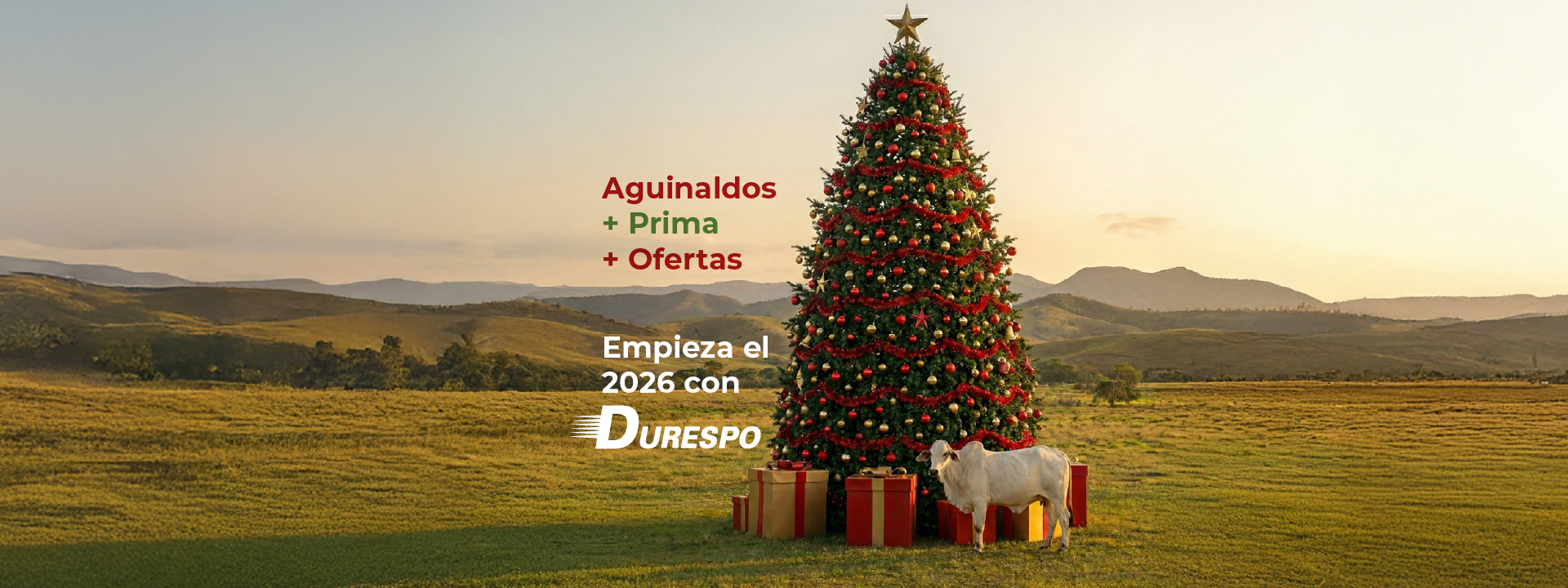 Banner web navidad - Durespo