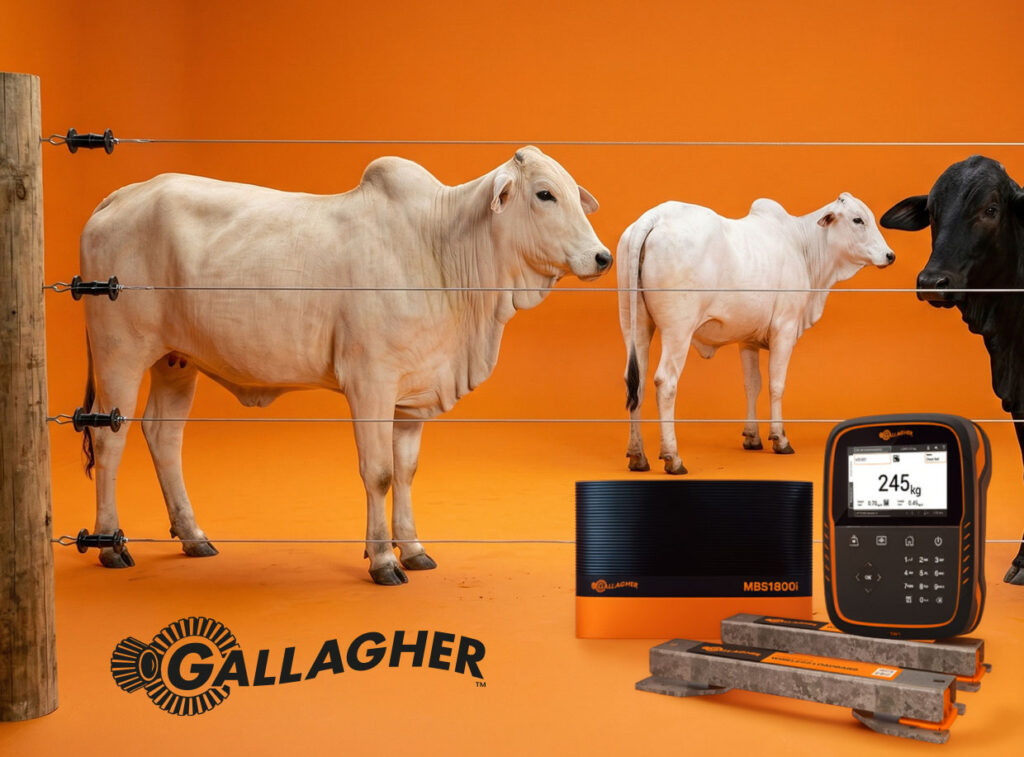Equipos ganaderos Gallagher ahora en Colombia